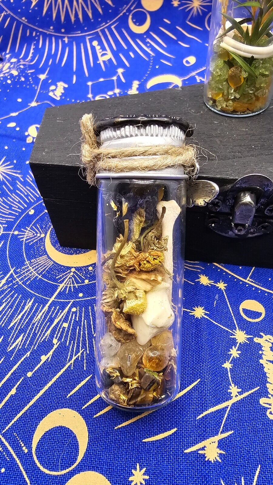 Animal Bone Preserved Spell Jars Charms