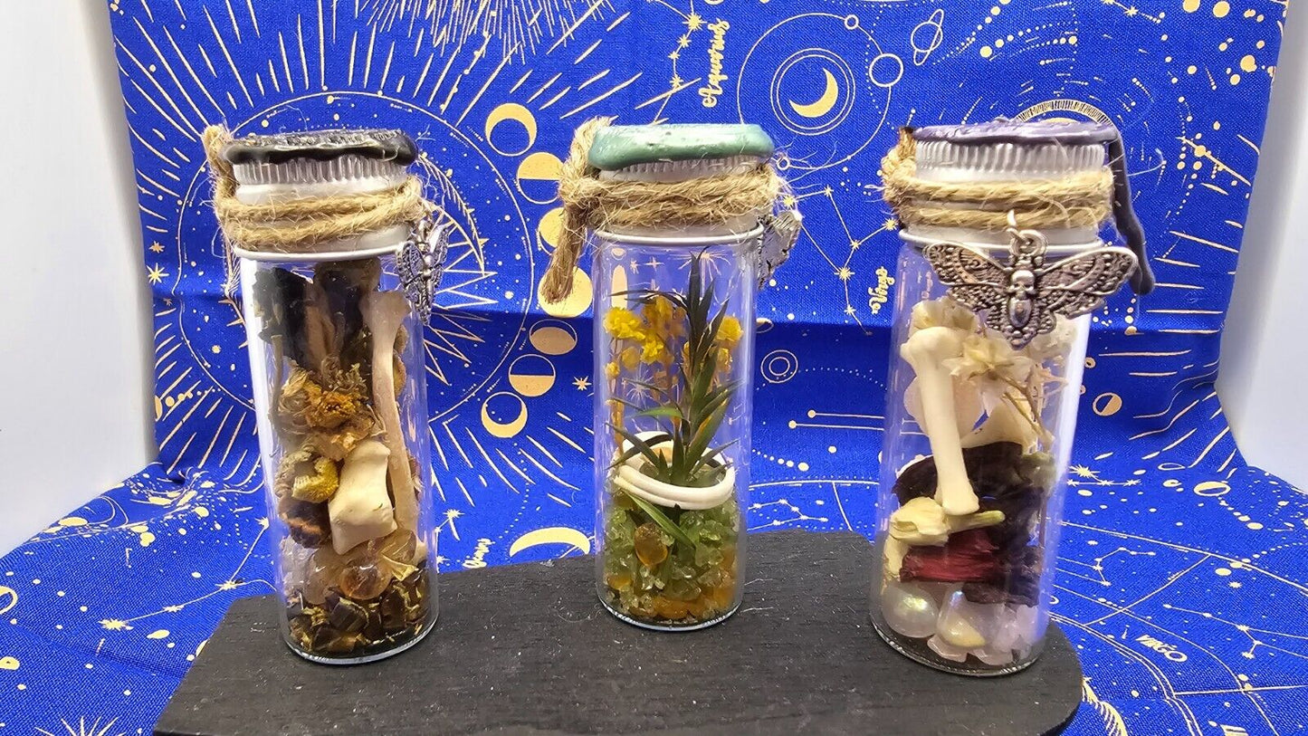 Animal Bone Preserved Spell Jars Charms