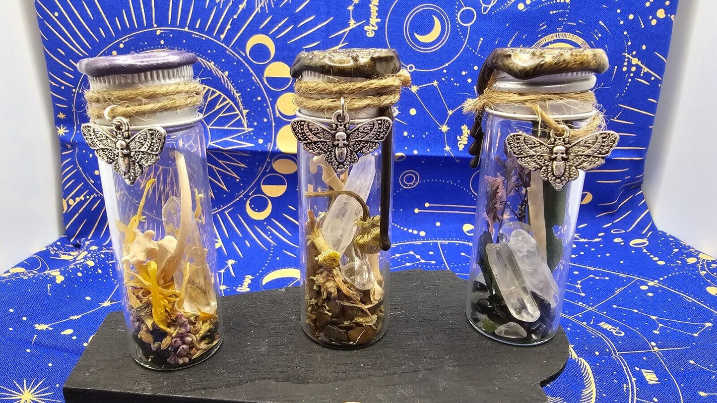 Animal Bone Preserved Spell Jars Charms