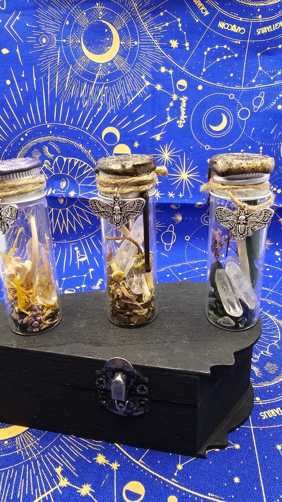 Animal Bone Preserved Spell Jars Charms